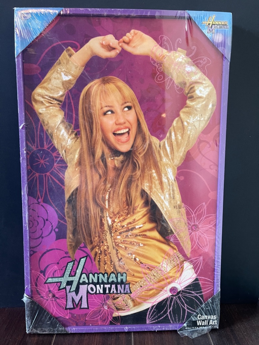 Hannah Montana Canvas Wall Art - Pink & Gold vintage nos.